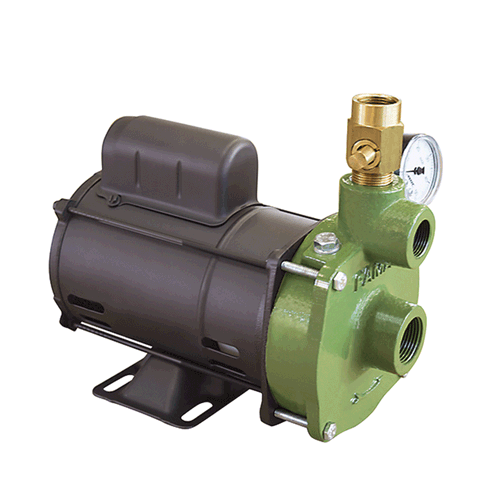Bomba de Agua Injetora Famac FIG S 3,0Cv 148mm de Rotor 220/380/440V Trifasico