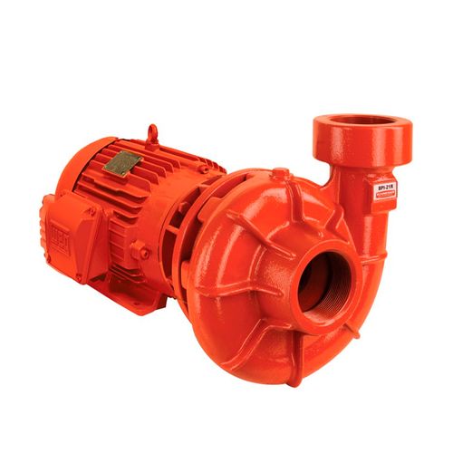 Bomba de Incendio Schneider BPI 21 R Saida Roscada Saida Roscada 2" x 1/2" 4Cv Monofasico