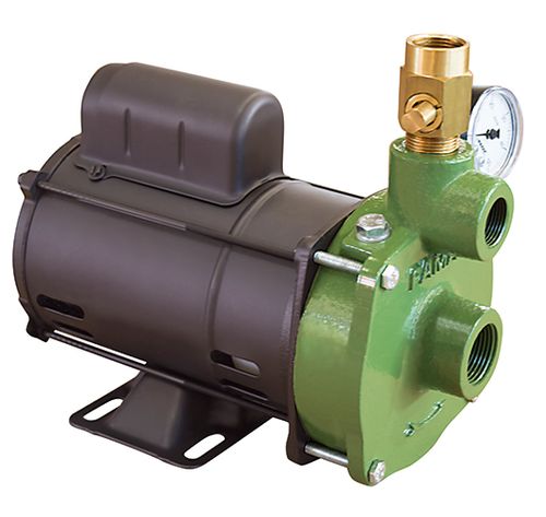 Bomba de Agua Injetora Famac FIG P 1/3Cv 107mm de Rotor 127/220V Monofasico