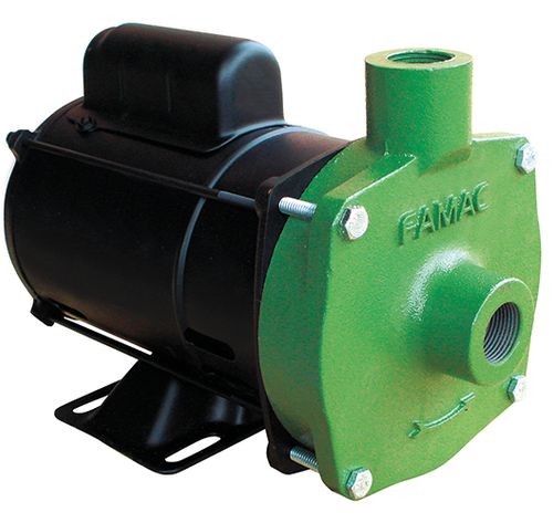 Bomba Centrifuga Monoestagio FAMAC FSG-S 3,0CV-142MM-127/220V Monofasico
