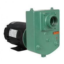 Bomba de Agua Autoescorvante Thebe AEX 1 2,0Cv Monofasico 127/220/254 Voltagens Rotor de AB 124X14